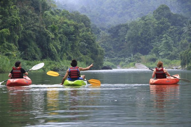 Nuwaraeliya Day Tour & Kithulgala Water Rafting from Kandy,Colombo or Ella - The day’s main drawback: pace and road time