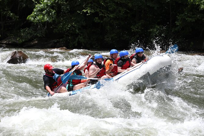Ocoee River Middle Whitewater Rafting Trip (Most Popular Tour) - A scenic setting between the rapids