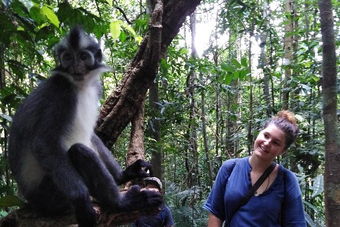 ONE DAY JUNGLE TREKKING 6-7 hours (see orang utan) + RAFTING in BUKIT LAWANG - What is included for $90.70