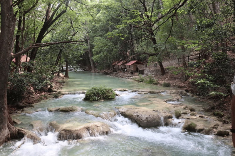 Palenque: Rafting and Jungle Trail Adventure - A 5:30 AM start from Palenque
