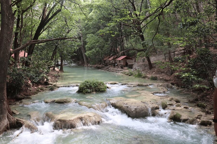 Palenque: Rafting and Jungle Trail Adventure - Getting back to Palenque around 8:00 PM