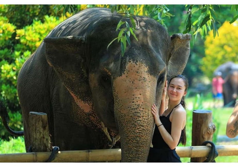 Phuket: Bamboo Rafting & ATV Ride (Optional) - Monkey Cave: close encounters with a warning