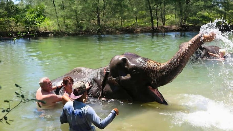 Phuket: Bamboo Rafting & ATV Ride (Optional) - Sea Turtle Conservation Center: a short, quiet first stop