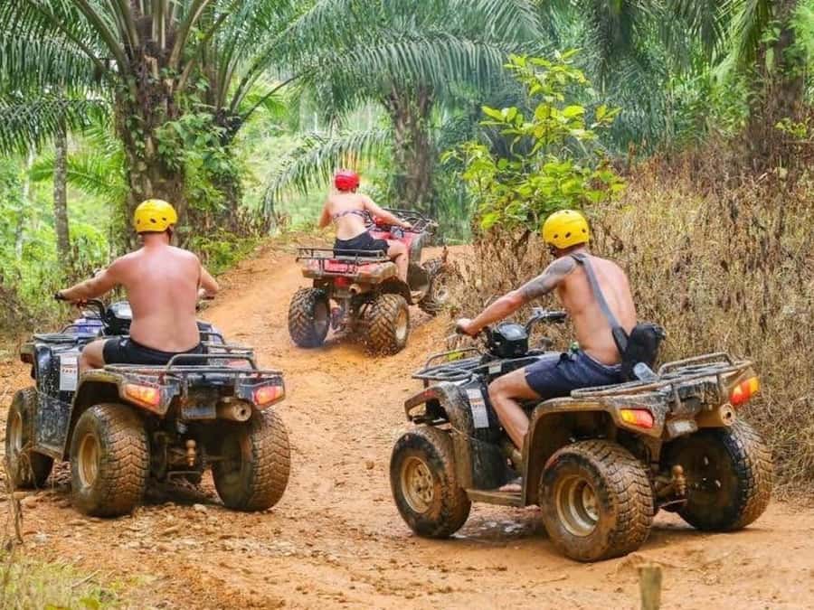 Phuket: Bird Park, Elephant Feeding, ATV Ride & City Tour - A packed Phuket day from hilltops to Old Town