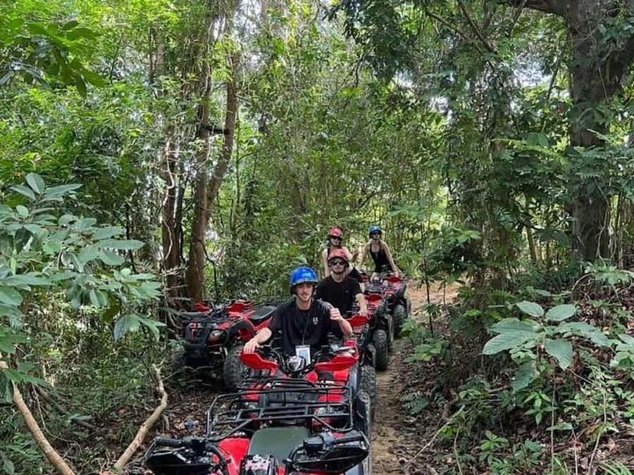 Phuket: Bird Park, Elephant Feeding, ATV Ride & City Tour - Phuket Bird Park: colorful birds and easy photo opportunities