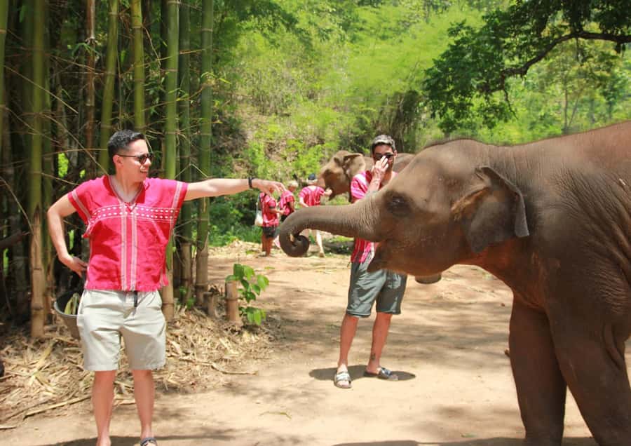 Phuket: Bird Park, Elephant Feeding, ATV Ride & City Tour - The ATV ride: 30 minutes on rough ground