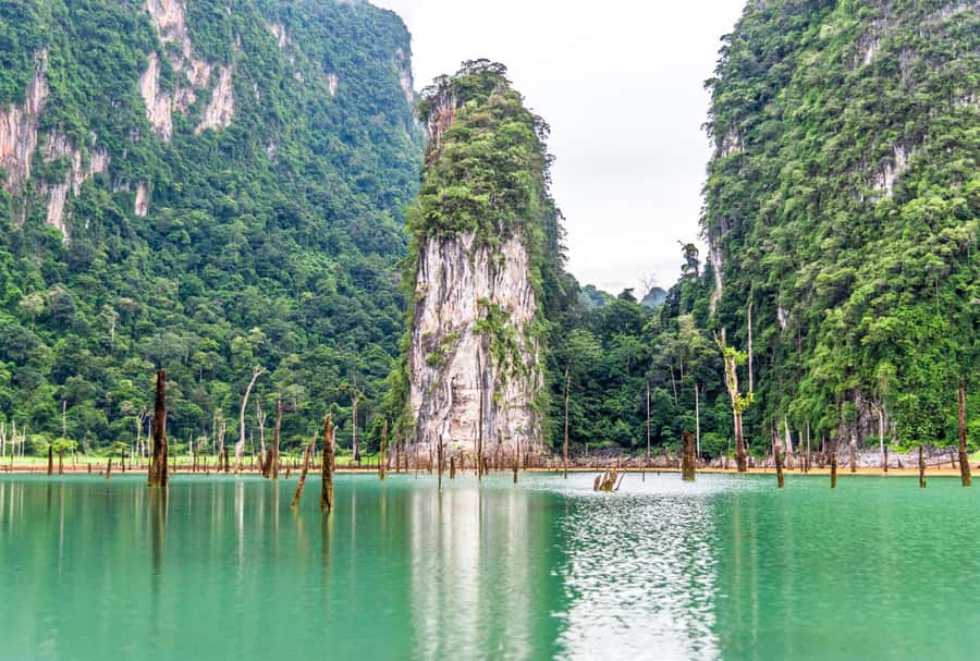 Phuket:Cheow Lan Lake & Kho-Sok,Bamboo Rafting,Monkey Temple - Floating raft house lunch and kayaking