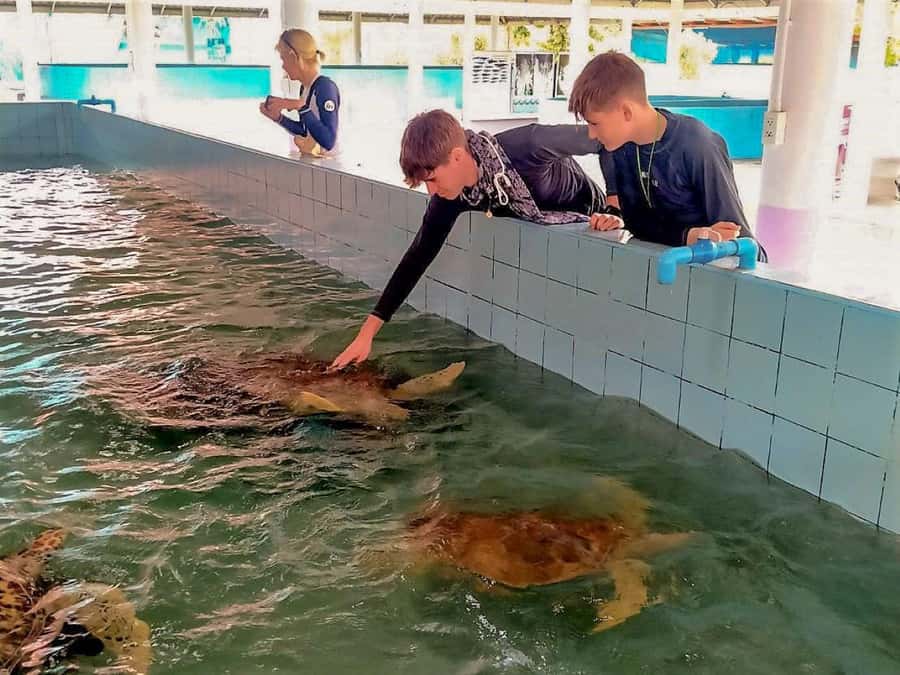 Phuket Ethical Nature Adventure: Rafting, Turtles & Elephant - A long but rewarding day beyond Phuket