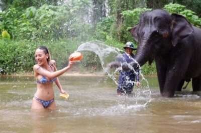 Phuket Ethical Nature Adventure: Rafting, Turtles & Elephant