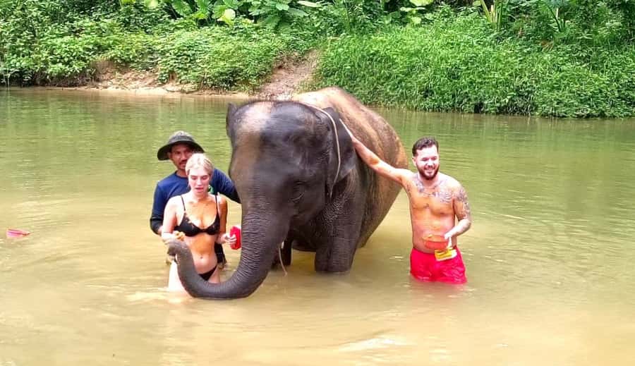 Phuket Ethical Nature Adventure: Rafting, Turtles & Elephant - Guides, transport, and group size
