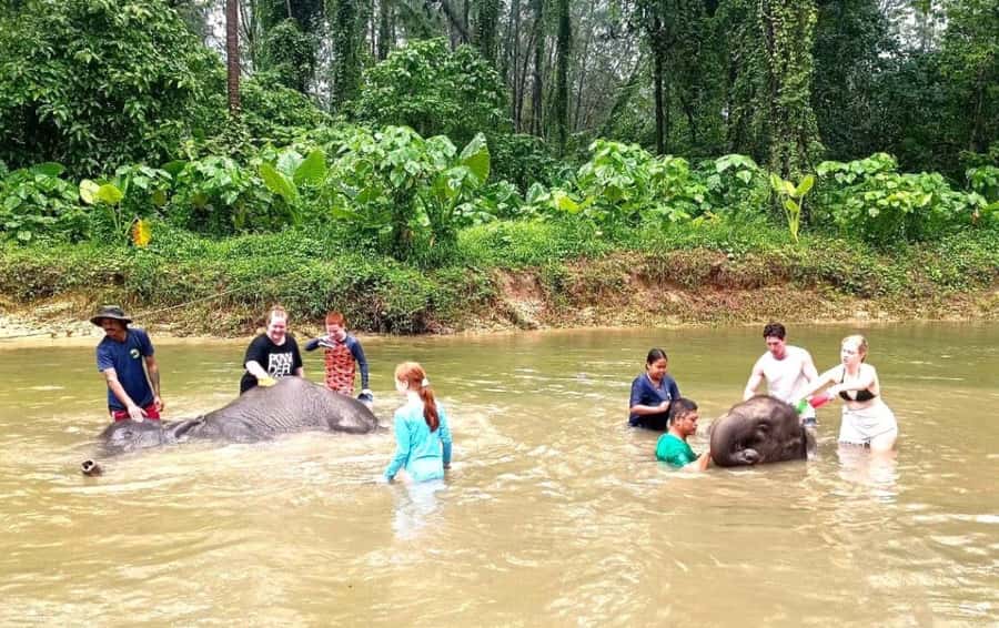 Phuket Ethical Nature Adventure: Rafting, Turtles & Elephant - Who should book this day