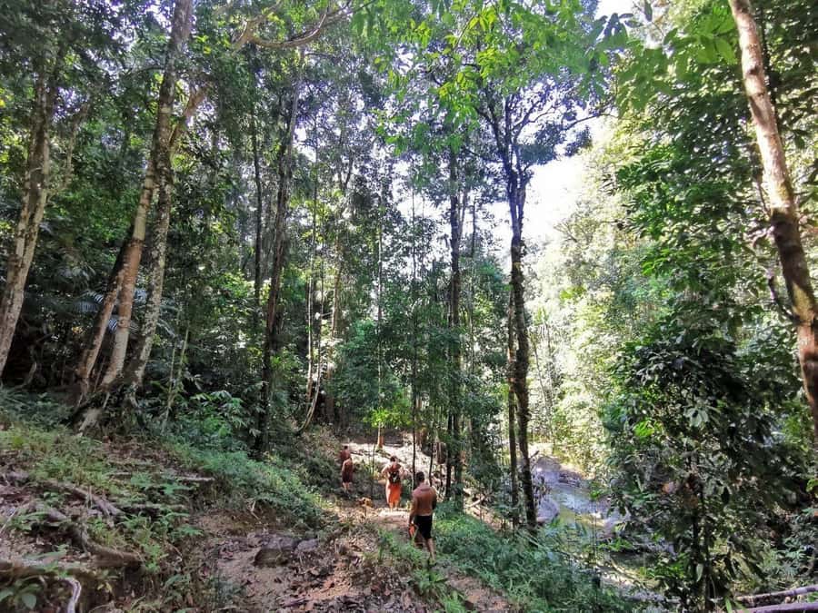 Phuket: Monkey Cave, Water Rafting, Zipline with ATV Option - Lunch at the camp