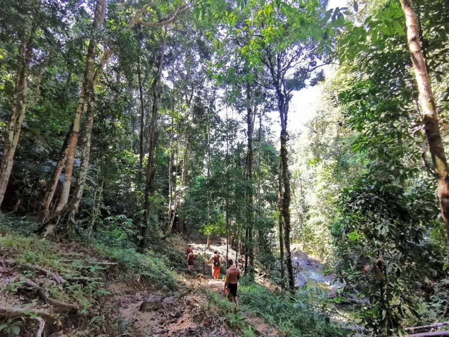 Phuket: Monkey Cave, Water Rafting, Zipline with ATV Option - Who will enjoy this day most