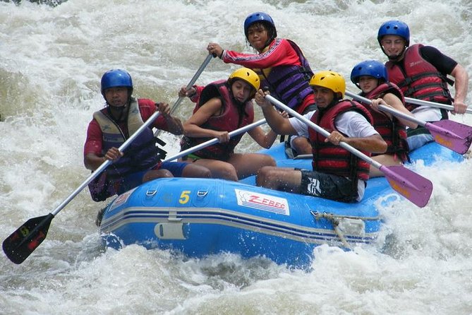PHUKET-PHANG NGA: White Water Rafting 5 km-ATV-Zipline-LNH - Buddha Cave Temple and its unexpected monkeys