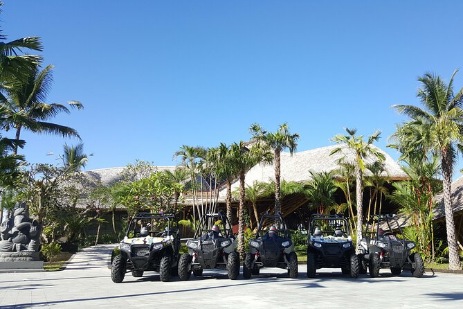 Premium White Water Rafting and Jungle Buggies in Bali - Who will enjoy this most