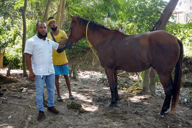 Private & Customize Tour to Martha Brae Rafting and Horseback Riding N Swim - A river day with two very different moods
