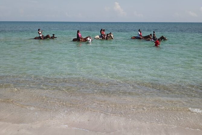 Private & Customize Tour to Martha Brae Rafting and Horseback Riding N Swim - Why the private vehicle changes the experience