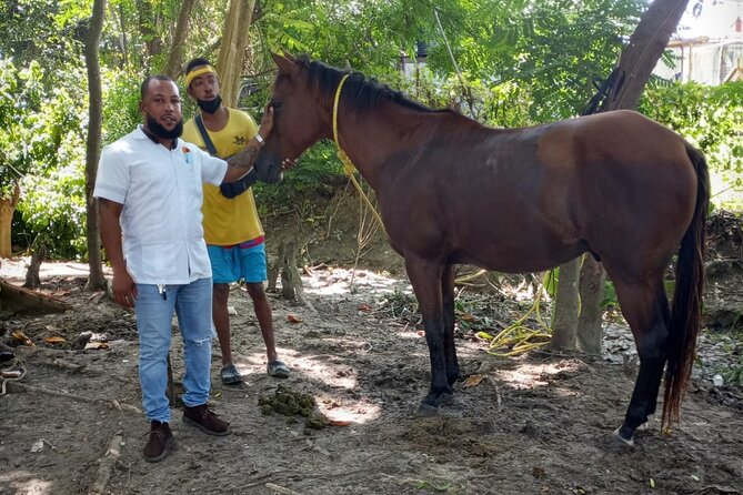 Private & Customize Tour to Martha Brae Rafting and Horseback Riding N Swim - Is $245 per person a fair price?