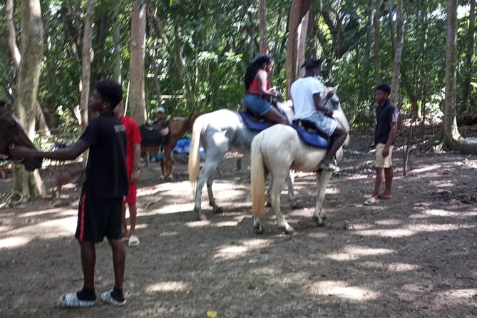 Private & Customize Tour to Martha Brae Rafting and Horseback Riding N Swim - How to plan around the five to six hours