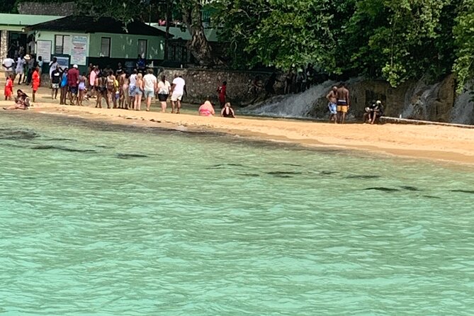 Private Dunn's River and Bamboo Rafting Combo from Ocho Rios - Value at $160 per person