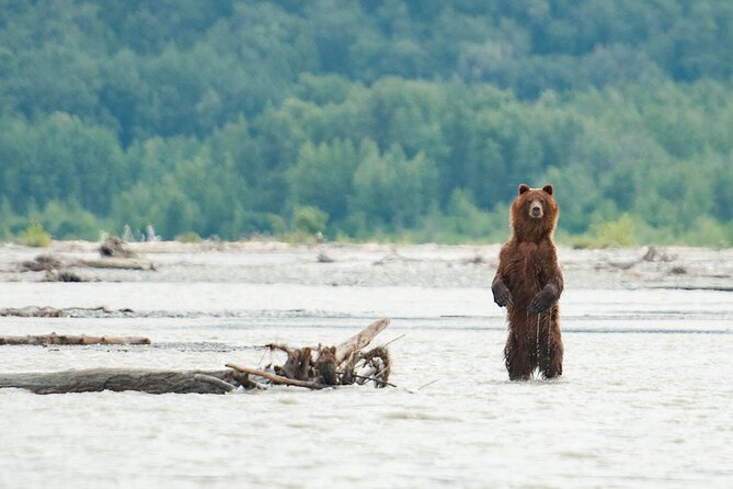 Private Group Eagle Preserve Float Trip in Haines - Why this river float works so well