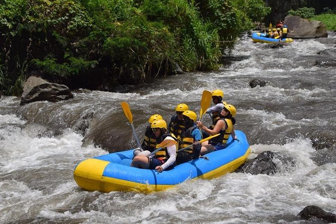 Private Tour Rafting Uluwatu Kecak Dance Sunset and Dinner in Jimbaran Bay - Why the $30.40 price can be good value