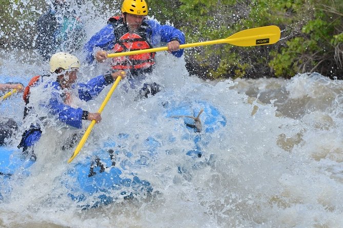 Professionally Guided High Adventure Rafting Trip - Royal Gorge - Who should book this rafting trip?