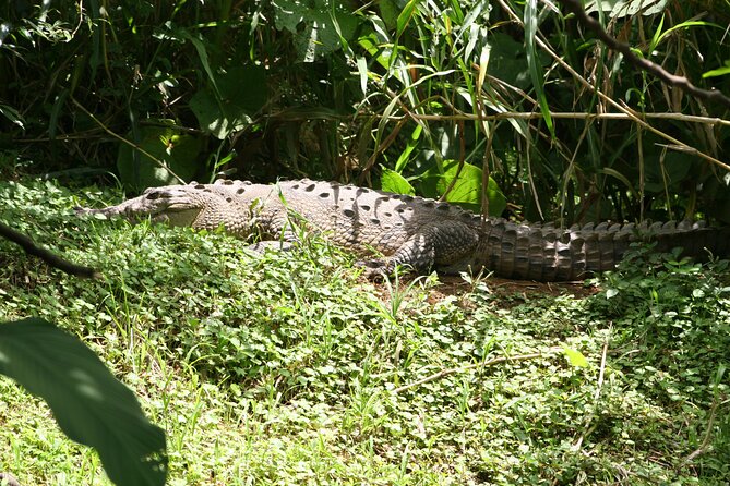 Pure Nature Safari River Float - Why the river habitat matters