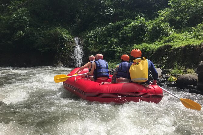Rafting Adventure 18 km and Balinese Village Life Tour with Lunch - What the $73.02 price gets you