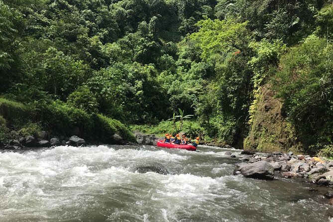 Rafting Adventure 18 km and Balinese Village Life Tour with Lunch - Practical advice before you reserve