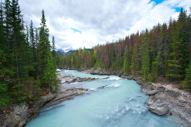 Rafting Adventure on the Kicking Horse River - Key points to know before booking