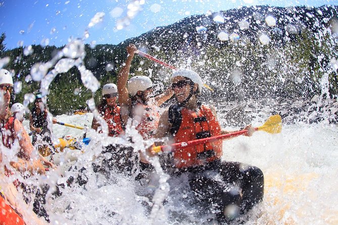 Rafting Adventure on the Kicking Horse River - Choosing between Express, Discovery, Ultimate, and family trips