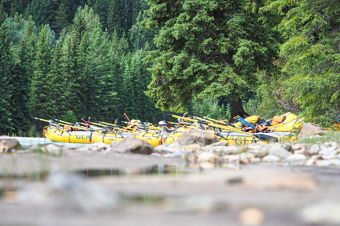 Rafting Adventure on the Kicking Horse River - Is this Kicking Horse rafting trip worth booking?