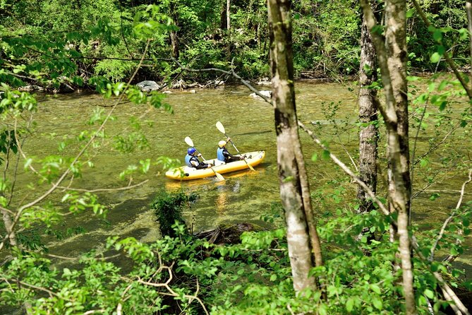 Rafting and Kayaking Adventure in River Kupa - The scenery around Risnjak National Park