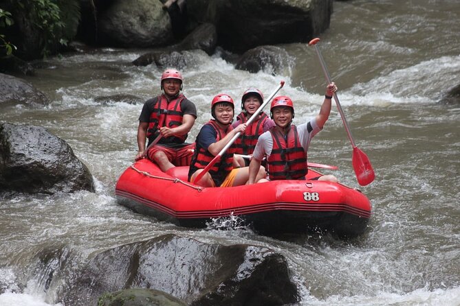 Rafting at Ayung River(Include Return Hotel Transportation) - Key points to know before booking