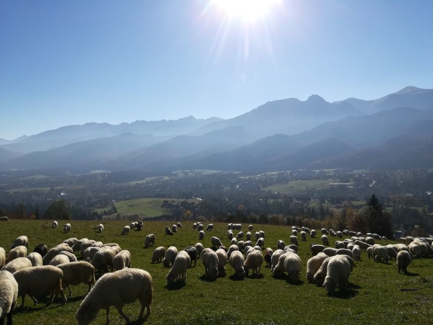 Rafting on Dunajec & Zakopane Tour – Day Trip from Krakow - Drifting through the Pieniny on the Dunajec