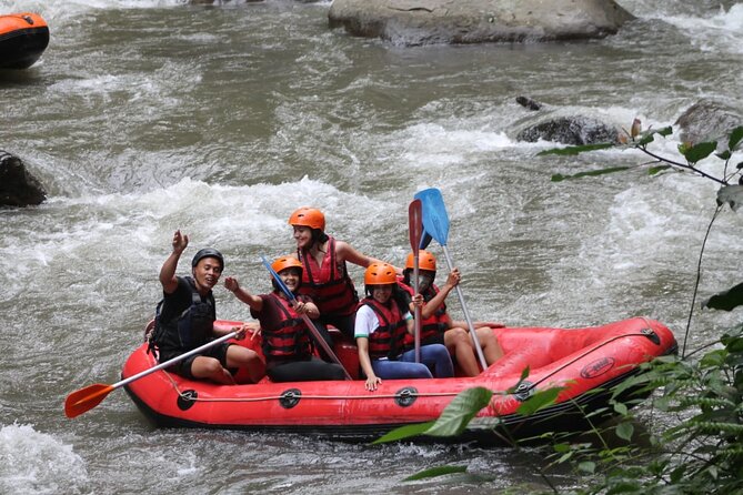 Rafting Swing Monkey Forest And Waterfall Tour All Inclusive - A packed day in Bali’s Ubud area