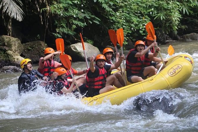 Rafting Swing Monkey Forest And Waterfall Tour All Inclusive - Happy Swing Bali and the photo stop