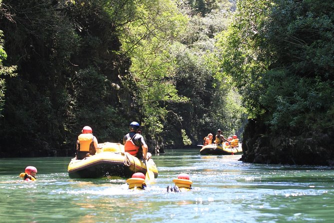 Rangitaiki River White Water Scenic Rafting from Rotorua - A gentle river day from Rotorua