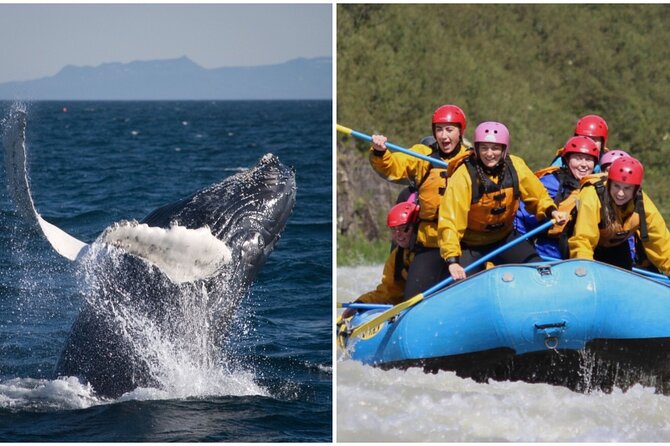 Reykjavik Whales & White Water Rafting Adventure - Starting at Elding’s Old Harbour boat