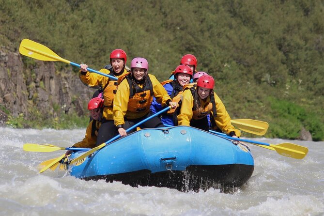 Reykjavik Whales & White Water Rafting Adventure - What the whale cruise is really like