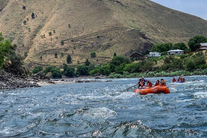 Riggins Idaho half-day rafting trip on the Salmon River - Who should book this Salmon River trip