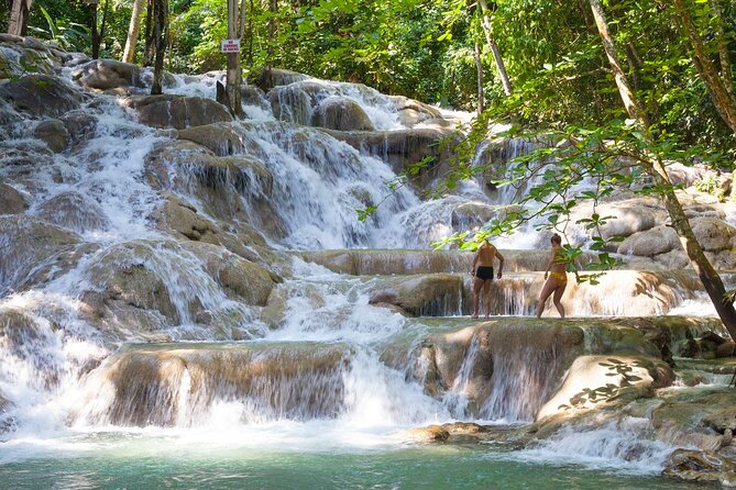 Rio Nuevo Bamboo River Rafting & Dunn's River Falls - A Quiet Start on a 30-Foot Bamboo Raft