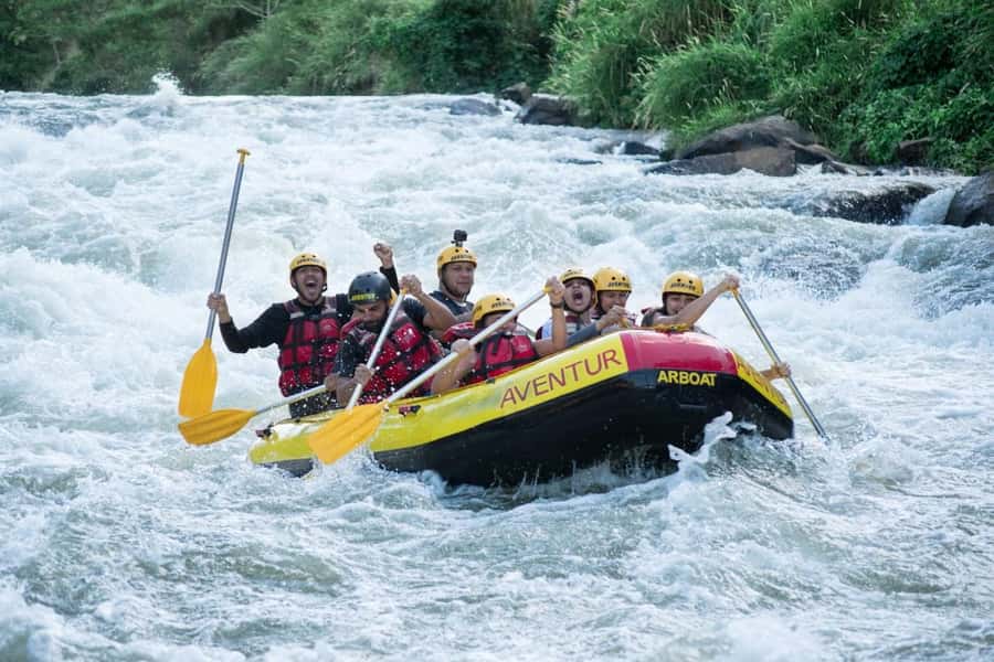Rio: White Water Rafting Adventure tour in Rio de Janeiro - Trading Rio’s streets for a rainforest river