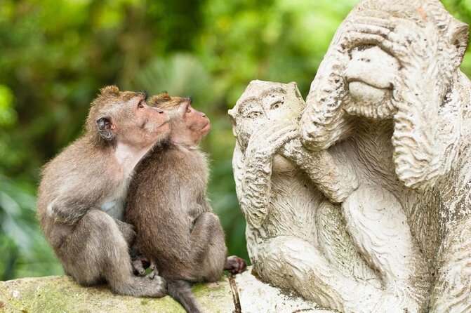 River Rafting Down the Ayung and Sacred Monkey Forest - Key things to know