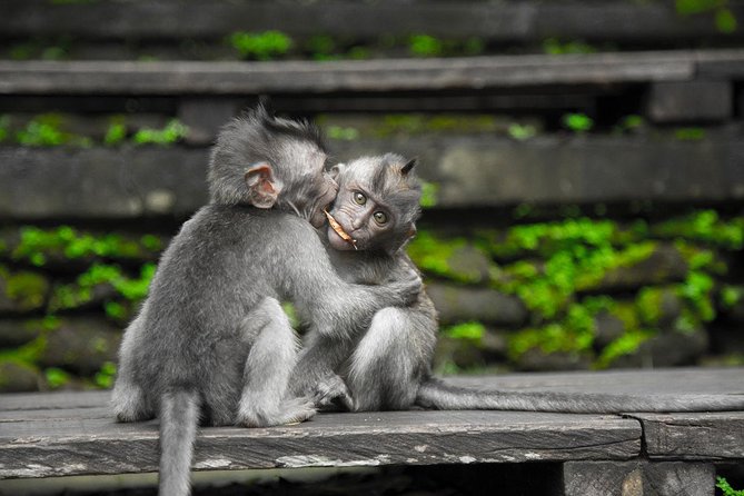 River Rafting Down the Ayung and Sacred Monkey Forest - Traditional Balinese food after the river