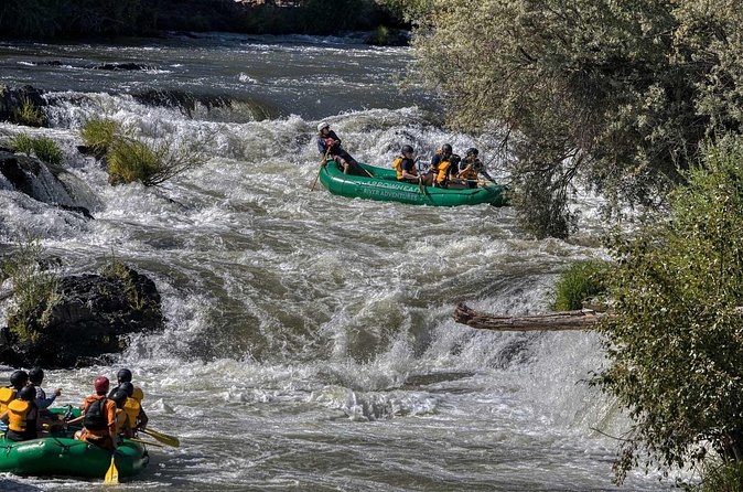 Rogue River Half Day Whitewater Trip Nugget Falls - Quiet water, scenery, and local wildlife