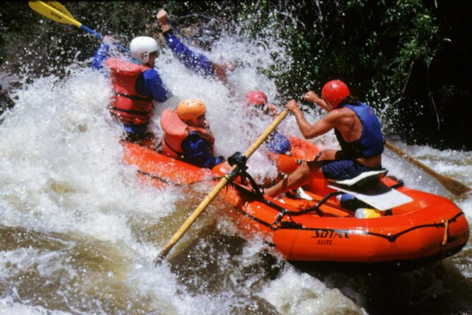 Rogue River Whitewater- Morning Rafting Adventure - Key points at a glance