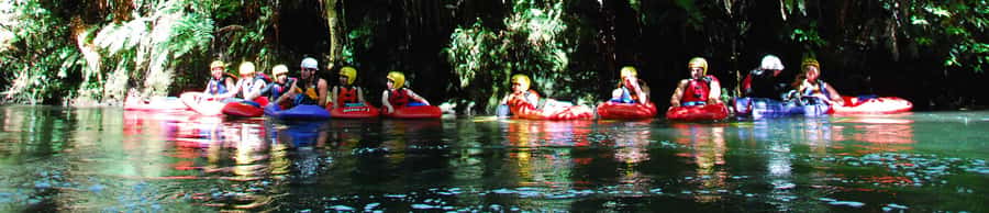 Rotorua Sledging: Kaituna White Water River Board Experience - Who should book this Rotorua adventure?