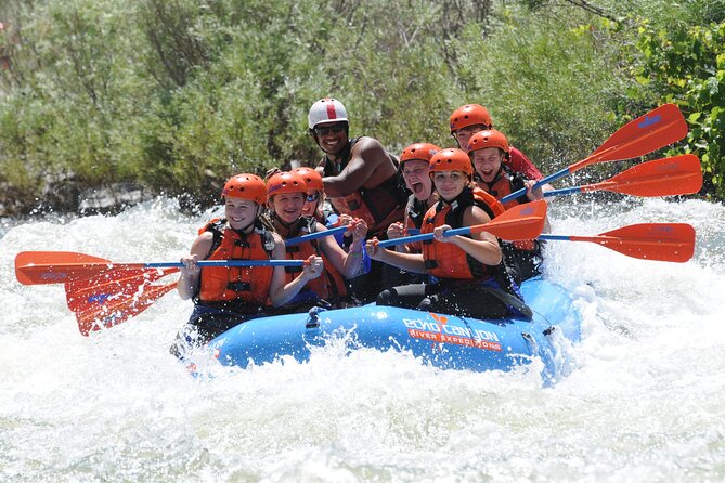 Royal Gorge Half Day Rafting in Cañon City (Free Wetsuit Use) - The river run: Class III to IV whitewater